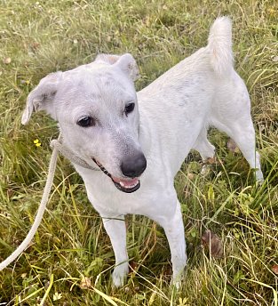 6.8.2024 Frydek Mistek