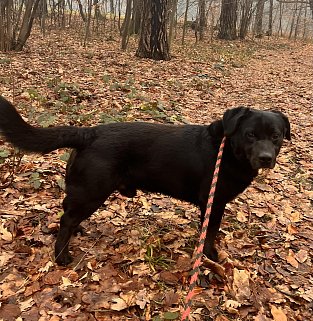 12.3.2025 Frýdek-Místek