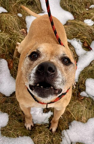 30.1.2026 Frydek Mistek