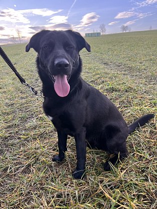 20.11.2025 Frydek Miste