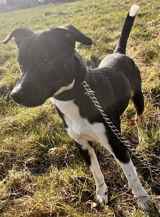 14.3.2026 Sedliště